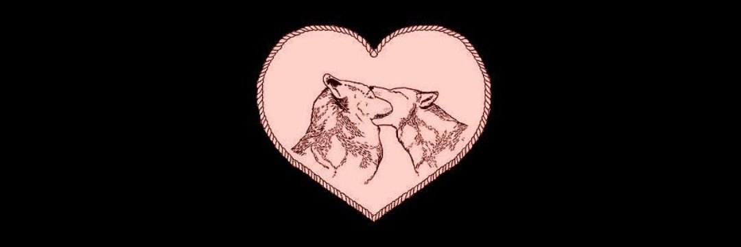 AriadnaCruzM's profile banner image