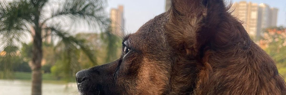 noyarw's profile banner image