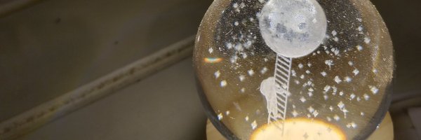 ThatDuckGuy23 Profile Banner