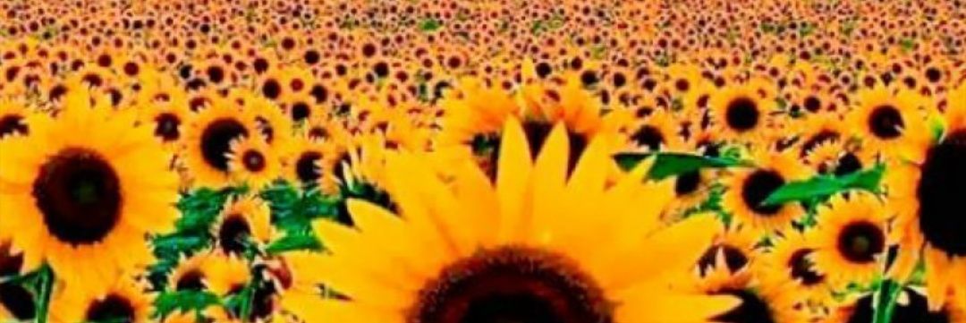BrendPark's profile banner image