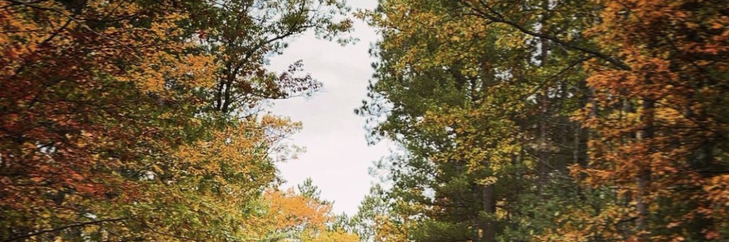 multi_ego's profile banner image