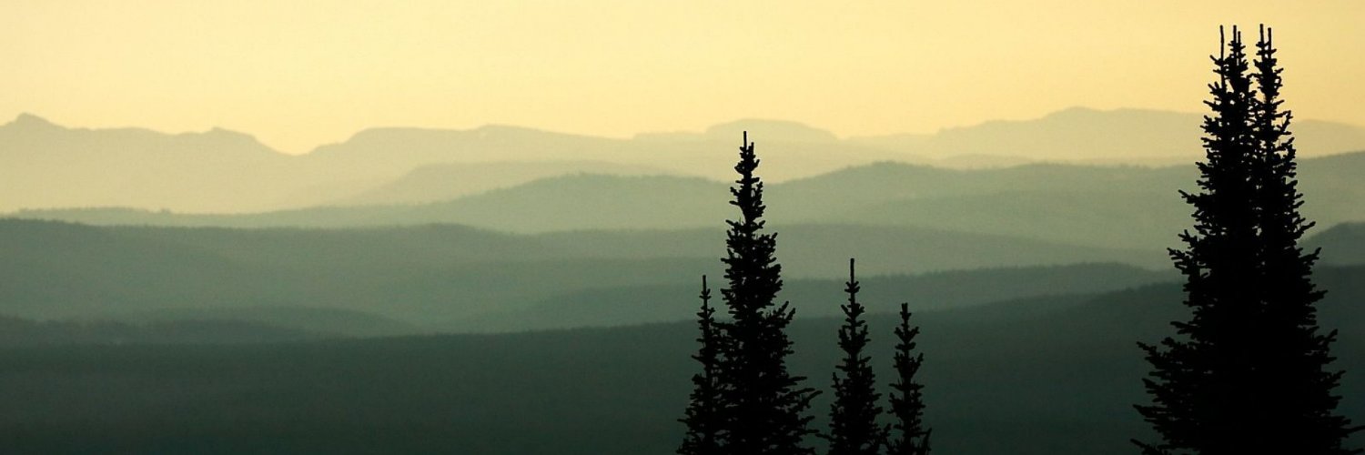 Sander Van de Cruys banner