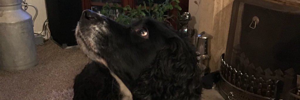 jonnyhtid's profile banner image