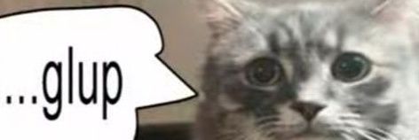 A fella banner