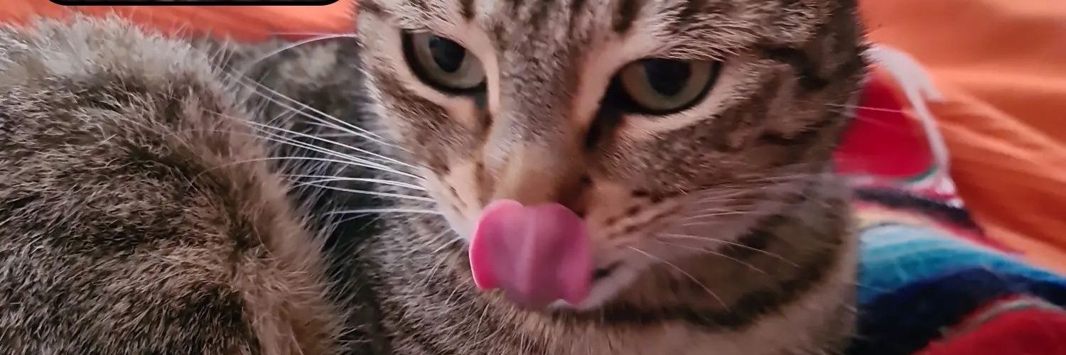 Laiapt98's profile banner image