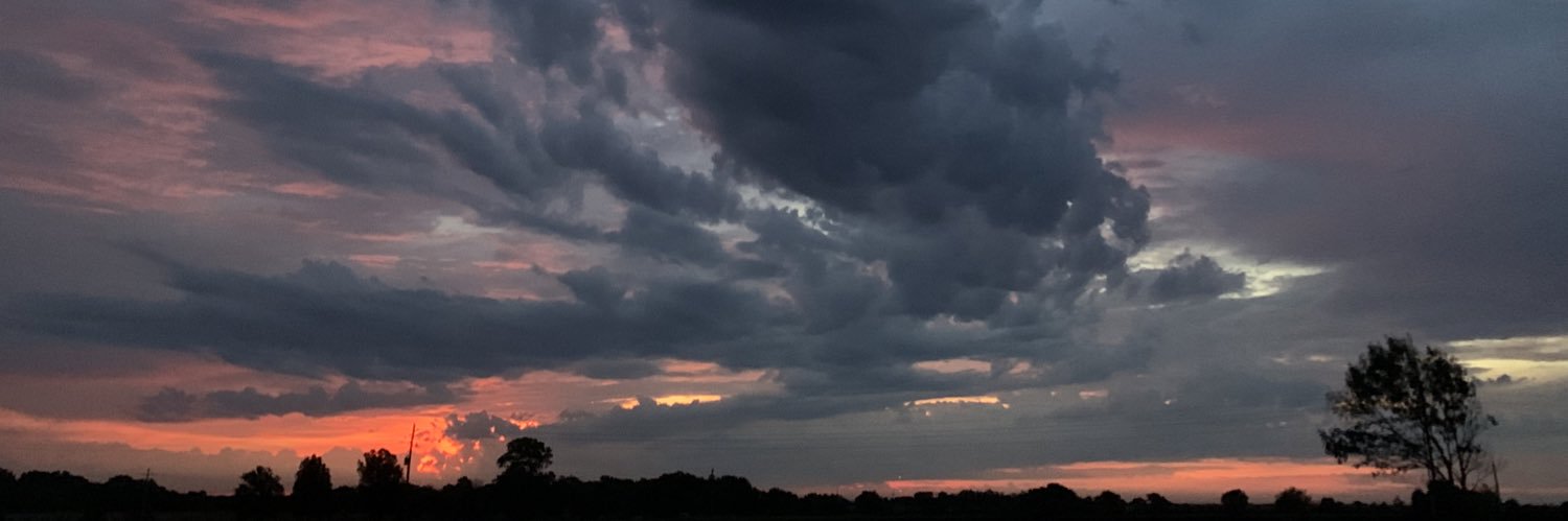 Chick-Feel-Abe banner