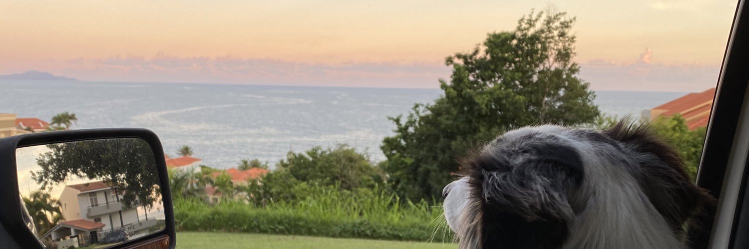 maru2448's profile banner image