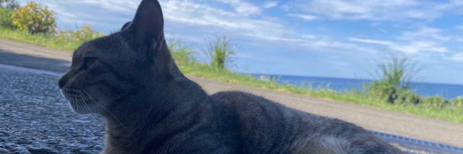 見知らぬミシル banner