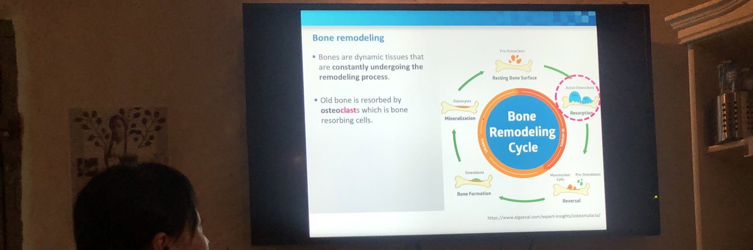 Phylobone project banner