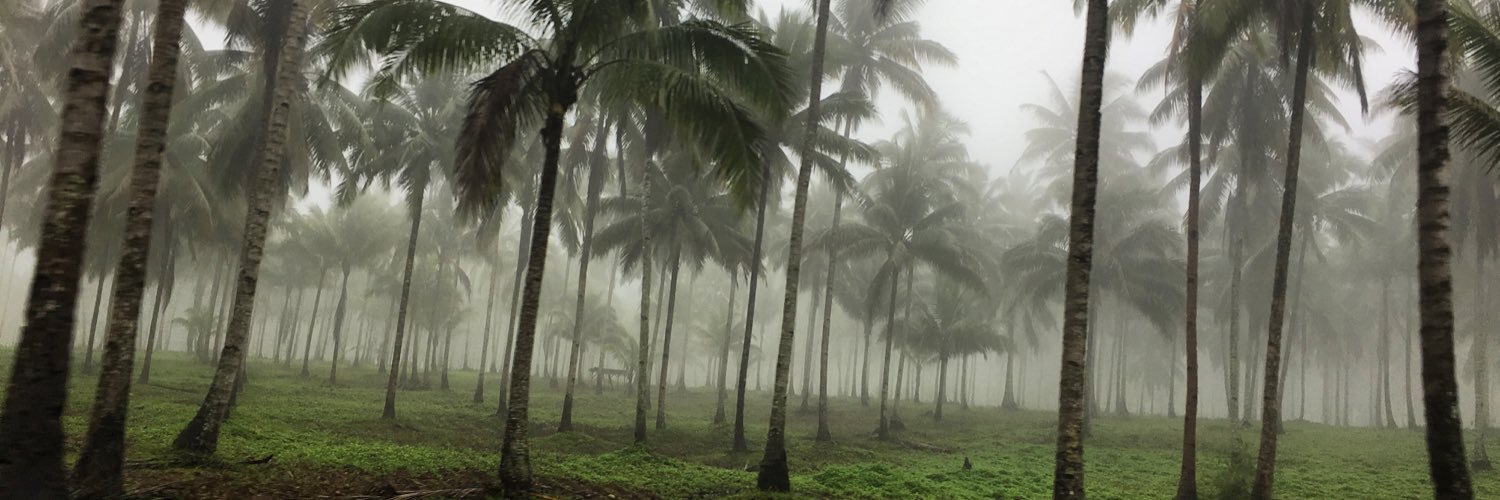 Maria Carmen (Ica) Fernandez banner