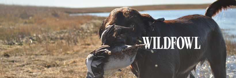 WILDFOWL Magazine banner