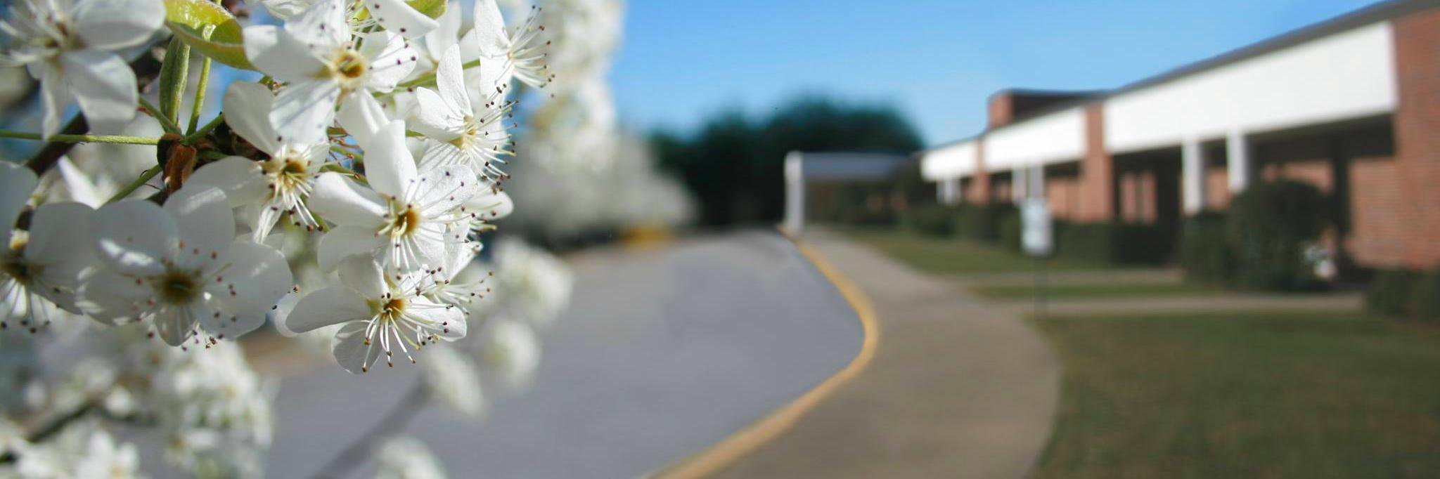 WhiteKnollElem's profile banner image