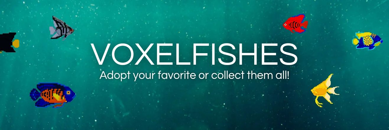 voxelfishes's profile banner image