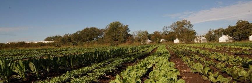 Farmshare Austin banner