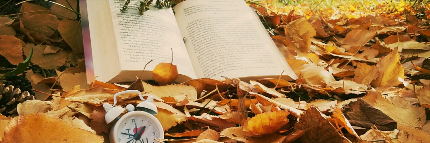 rabiablt's profile banner image