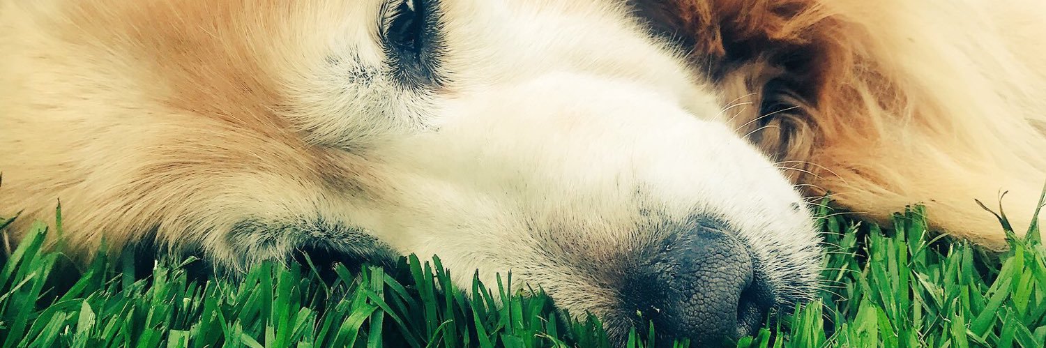 Simon McDonald banner