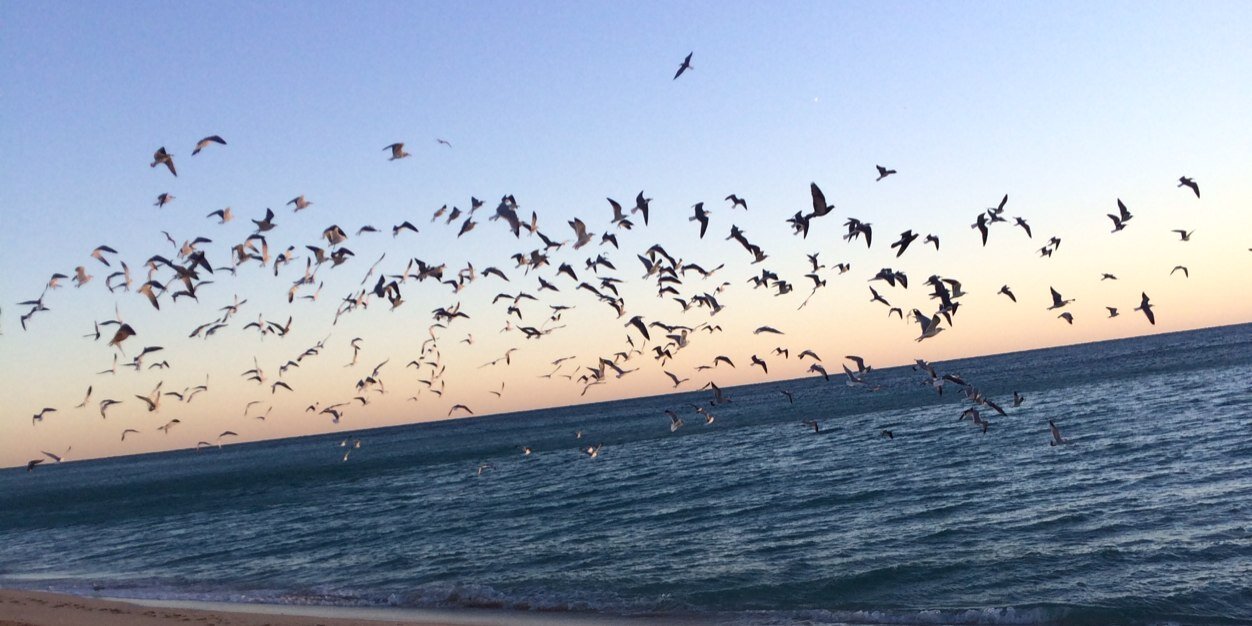 johayleenR's profile banner image