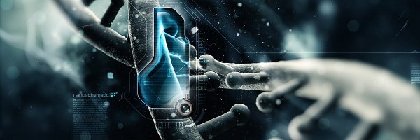 harryda75321568 Profile Banner
