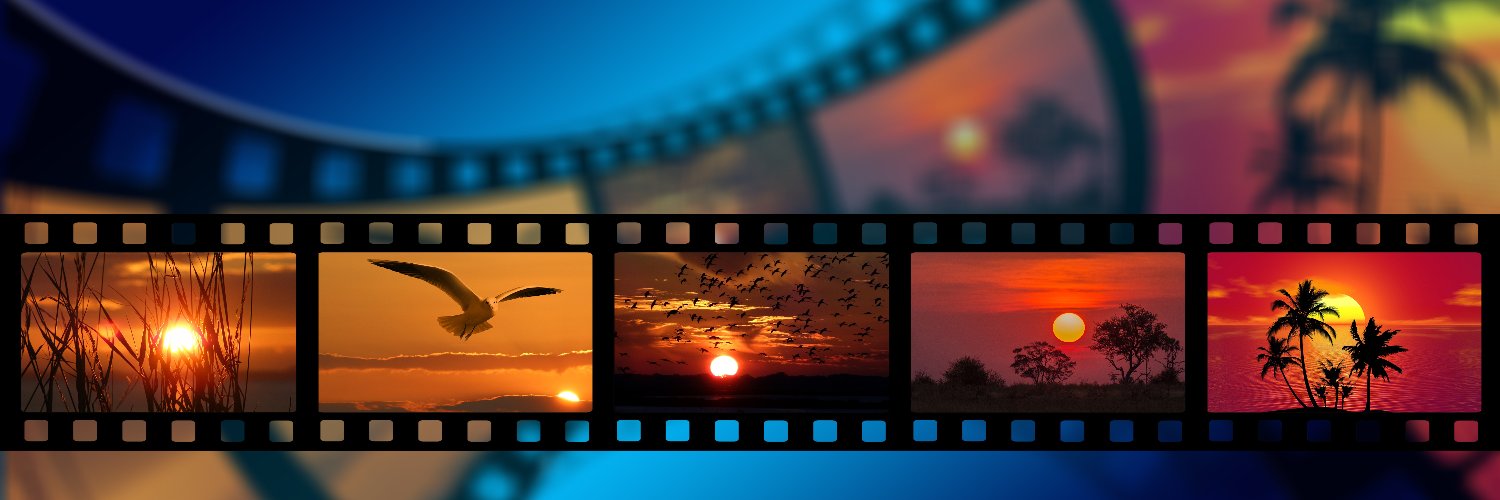 Lara Miller banner