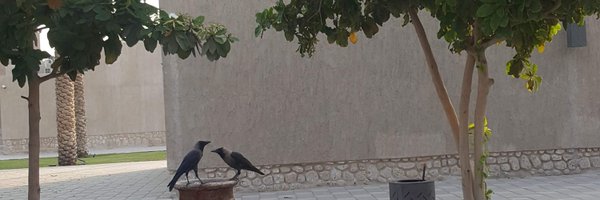 andreagissdal Profile Banner