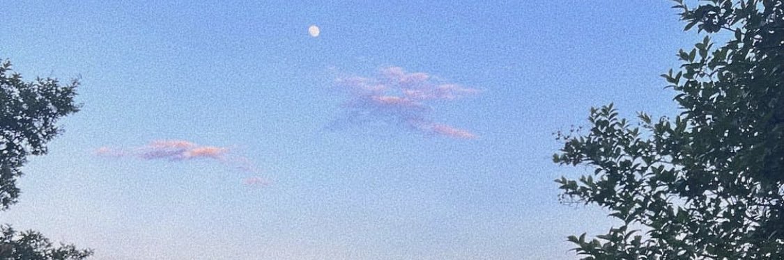 🐱 banner