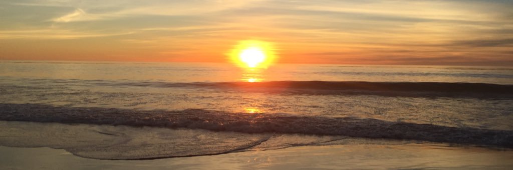 SFgiantsfan_'s profile banner image