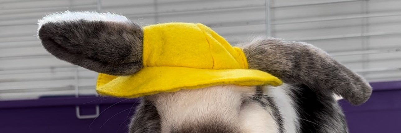 ky1eex's profile banner image