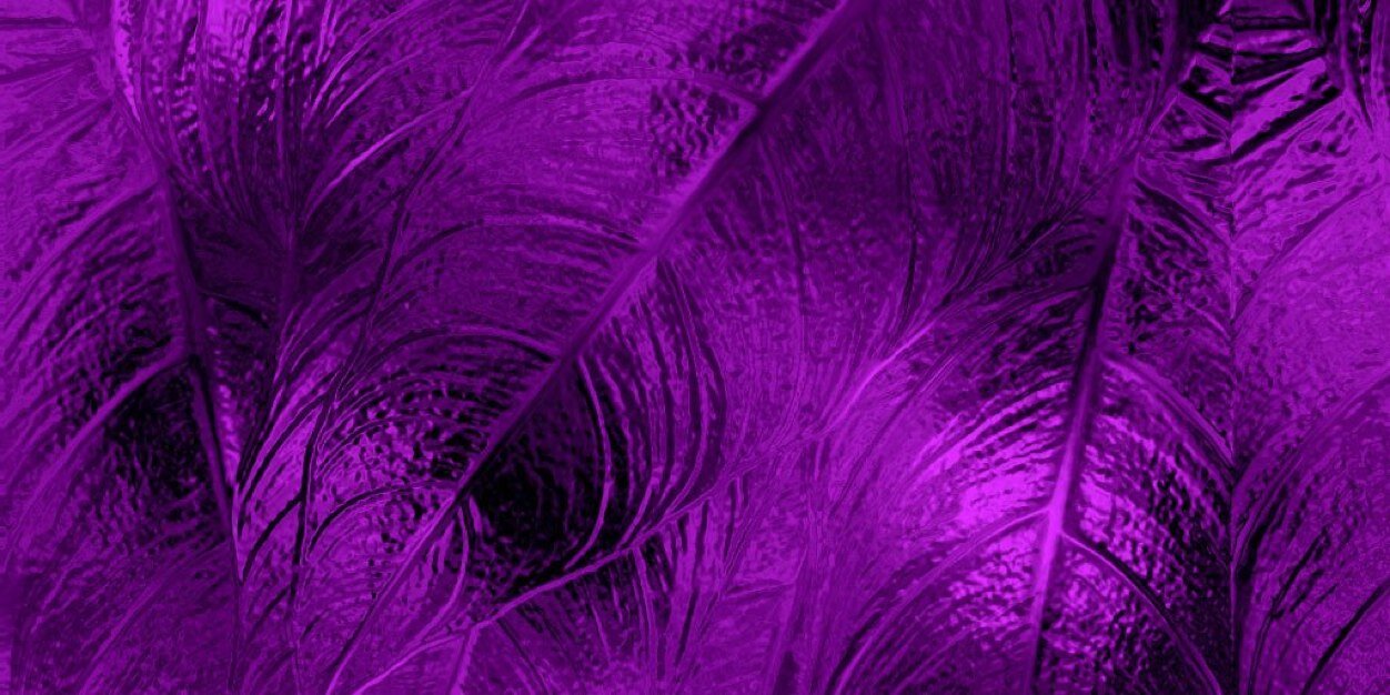XmandysXcakesX's profile banner image