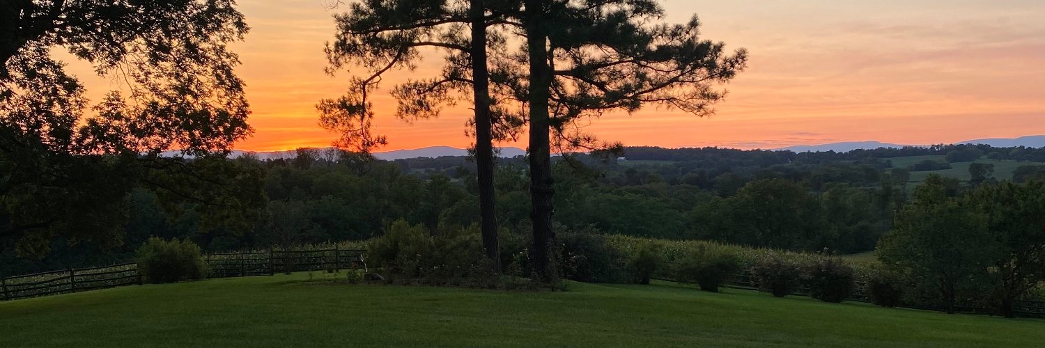 pnkenney1's profile banner image