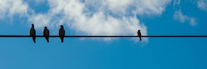 CeleCorona's profile banner image