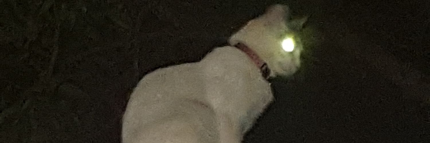 Fr3akingFr3d's profile banner image