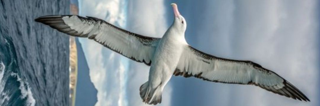 ju_1961's profile banner image