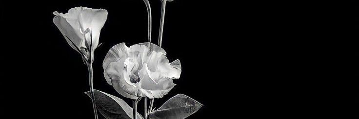 🍉hann♡🐺🍙🧋karbit banner