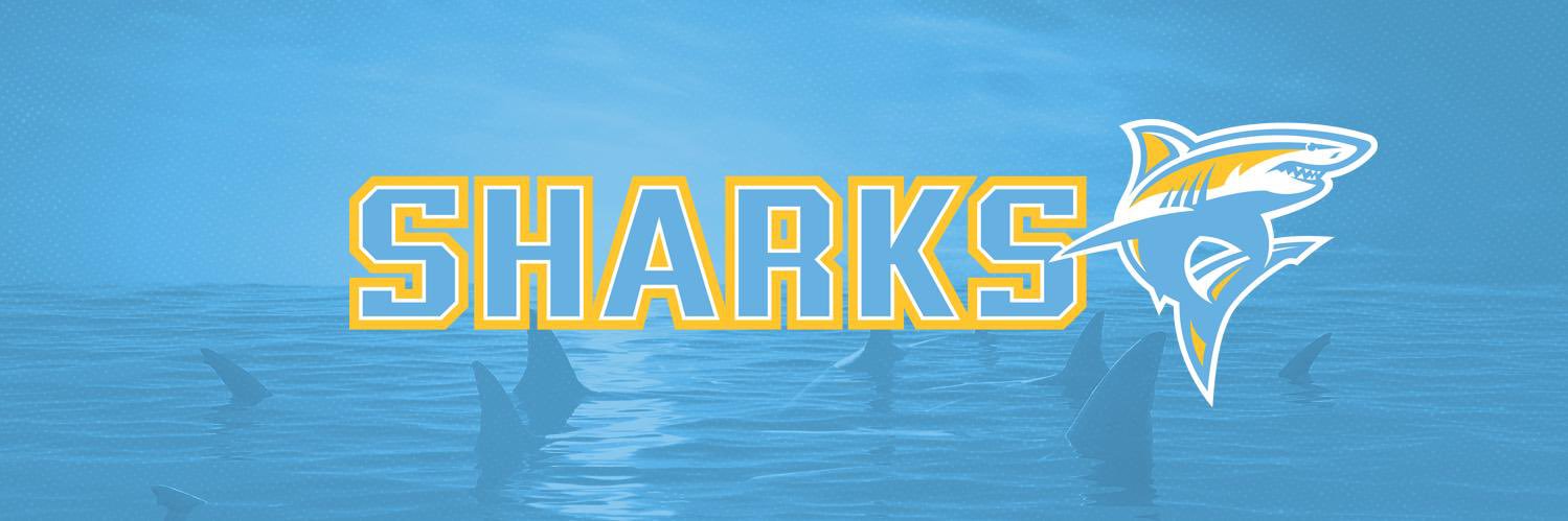 Long Island University Volleyball banner