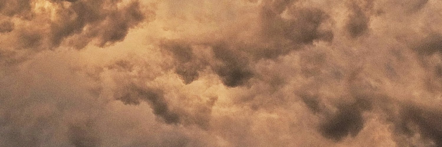 needyjane's profile banner image
