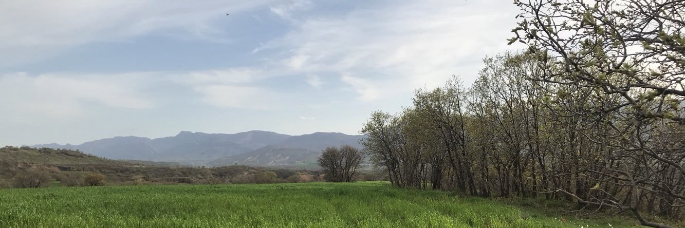 lana dara banner