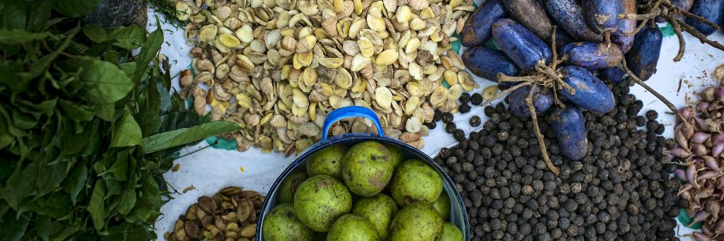 Food Adventure banner