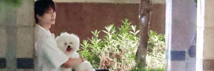 Jane😺's banner