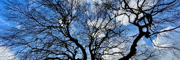 RBarnthaler Profile Banner