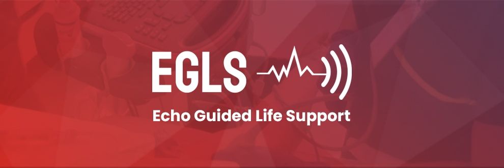Echo Guided Life Support (EGLS) banner