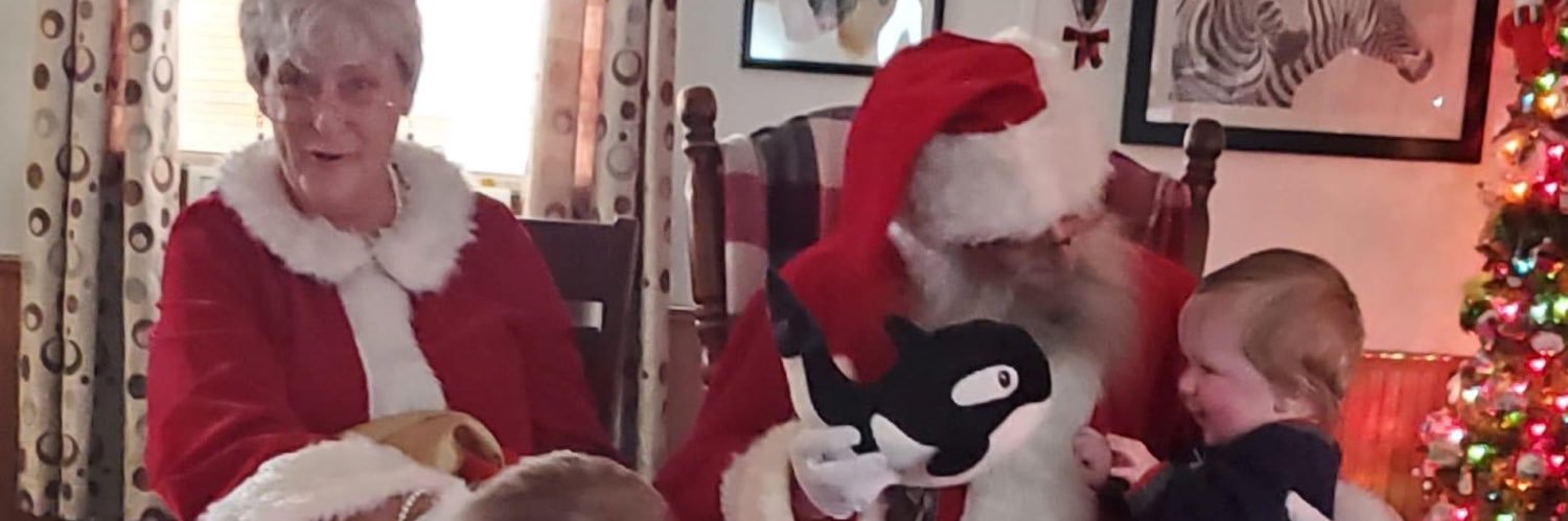 DOGE-SANTA-Clause banner