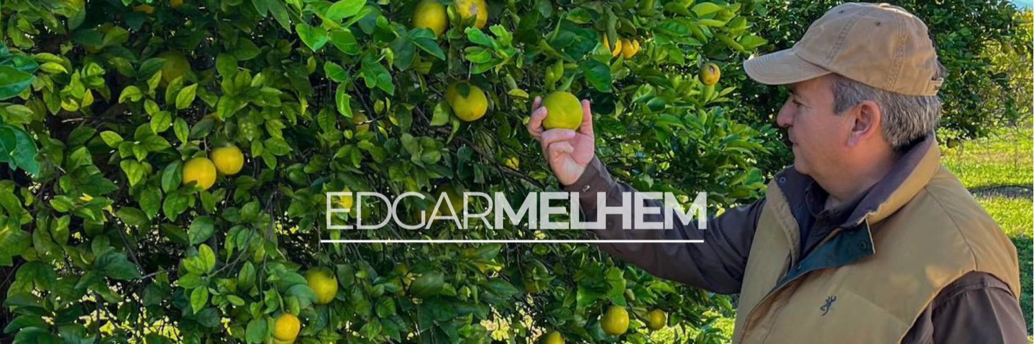 edgarmelhem's profile banner image