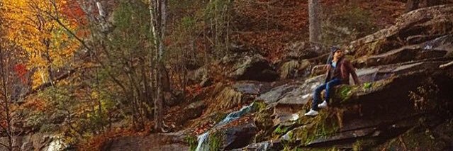 YvanBoom's profile banner image