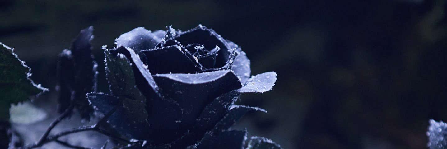 BucinPLG's profile banner image