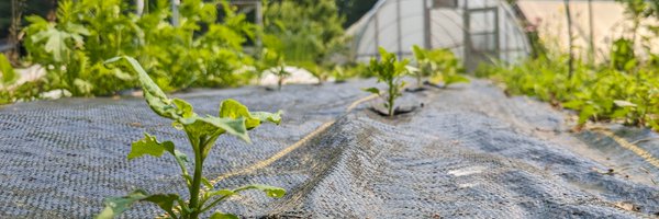 PendleHillSeed Profile Banner