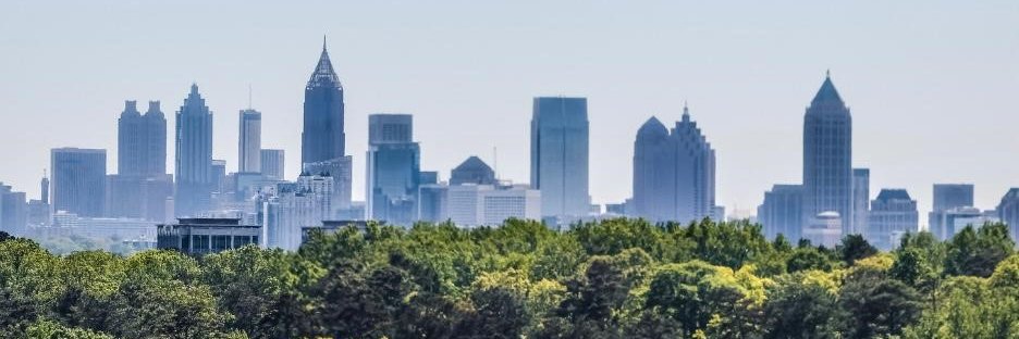 Anne-Laure Desjonquères banner