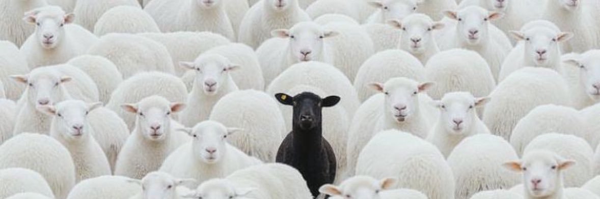 We’re Not in Kansas Anymore 💯🥶🎯 banner