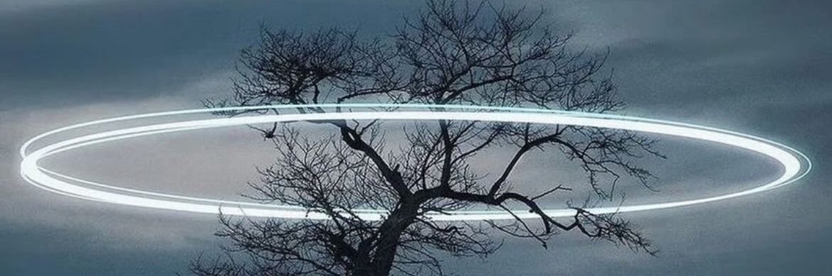 xtcsy banner