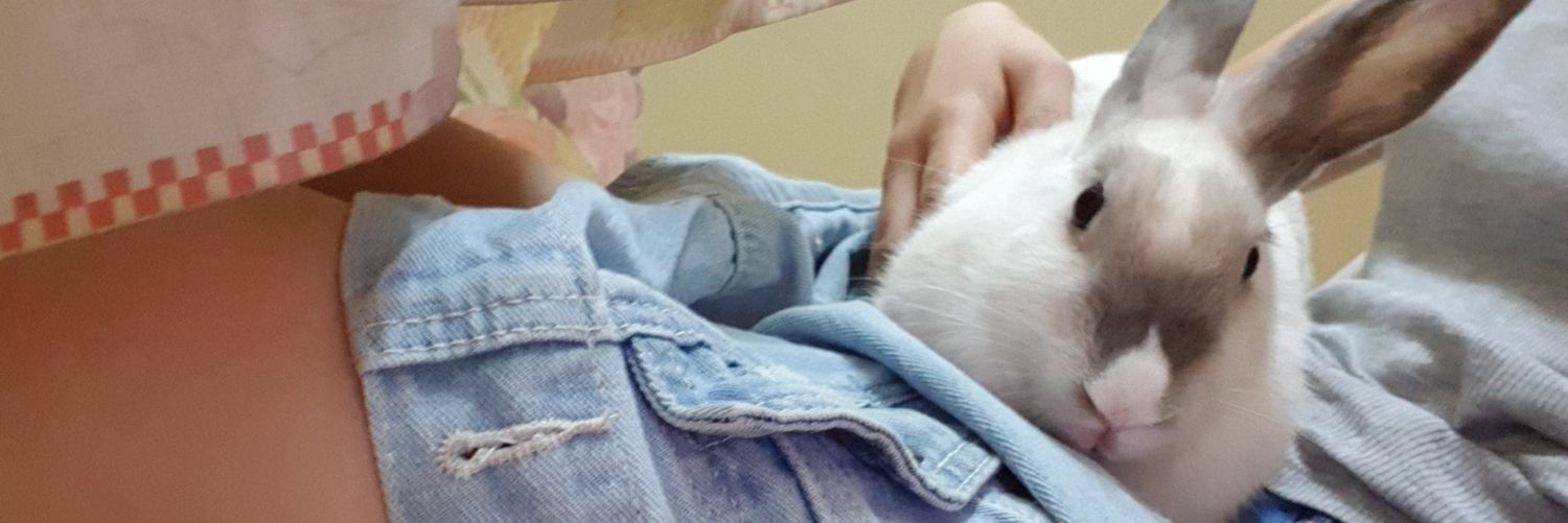 wenzyxlim's profile banner image