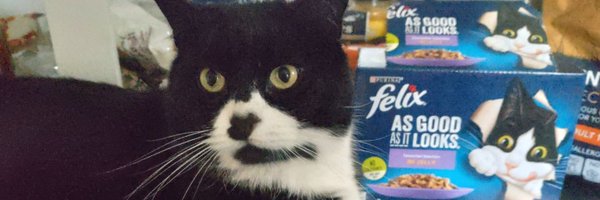 InfluencerBryan Profile Banner